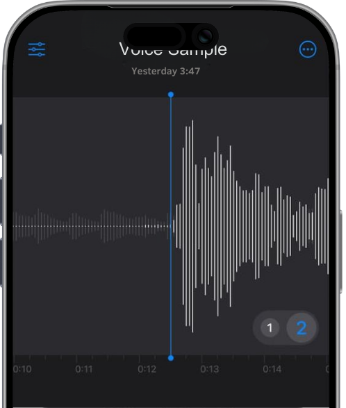 Voice Recording